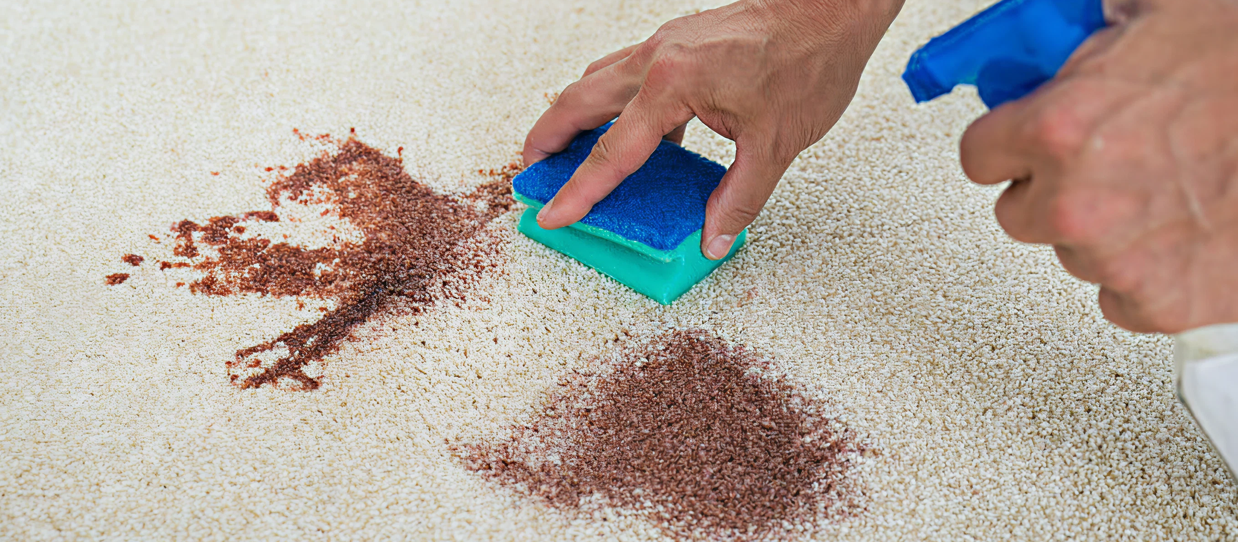 Stain Removal Services in Port Moody & Tri-Cities